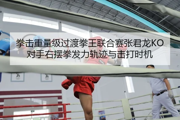 拳击重量级过渡拳王联合赛张君龙KO对手右摆拳发力轨迹与击打时机